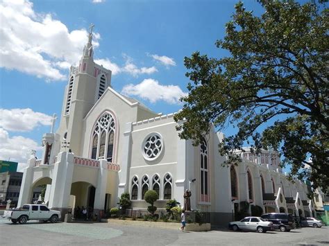 tarlac city cathedral|Category:Tarlac Cathedral .